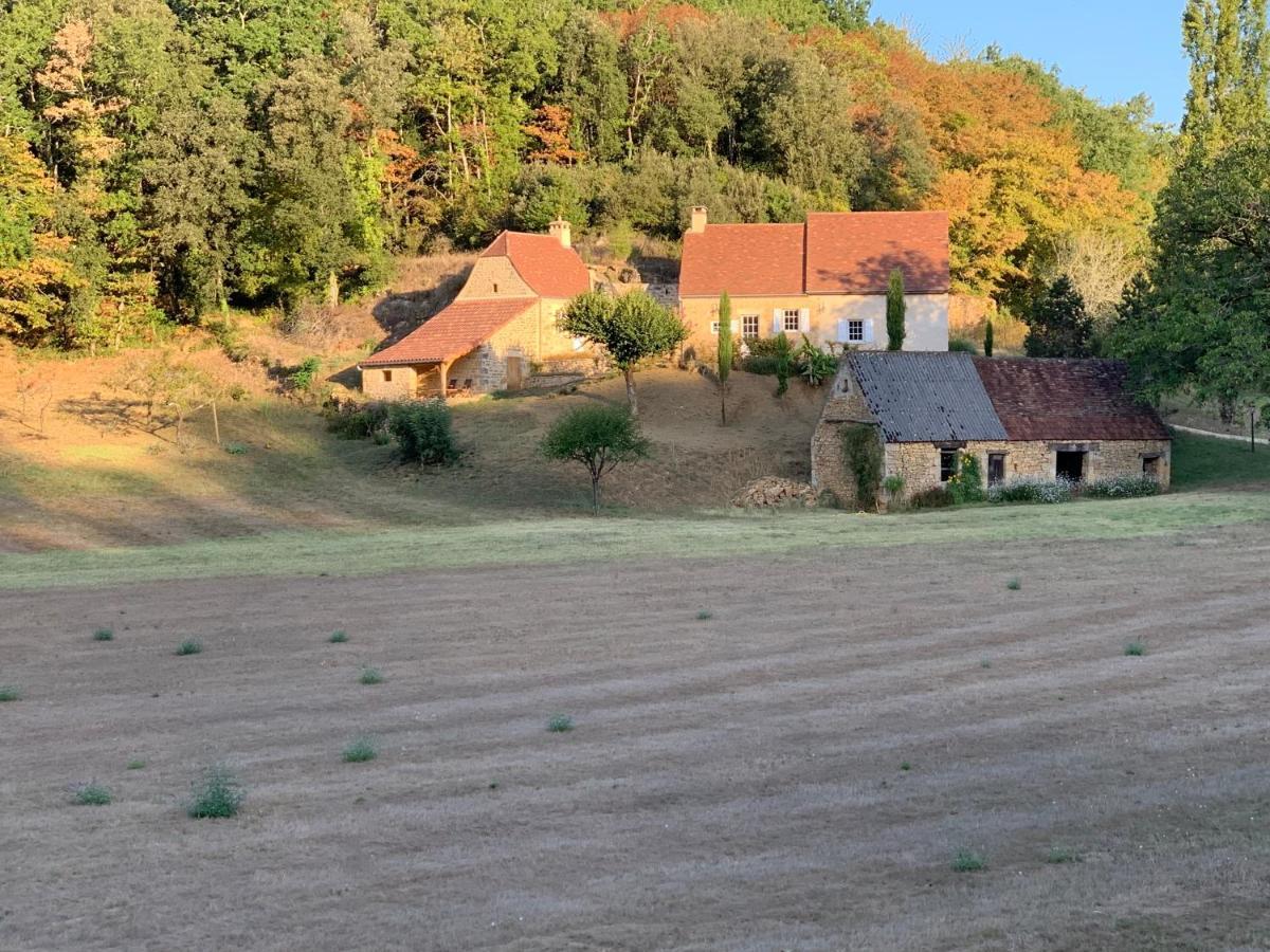 Gite Chez Le Gaulois カルサック・アイヤック エクステリア 写真