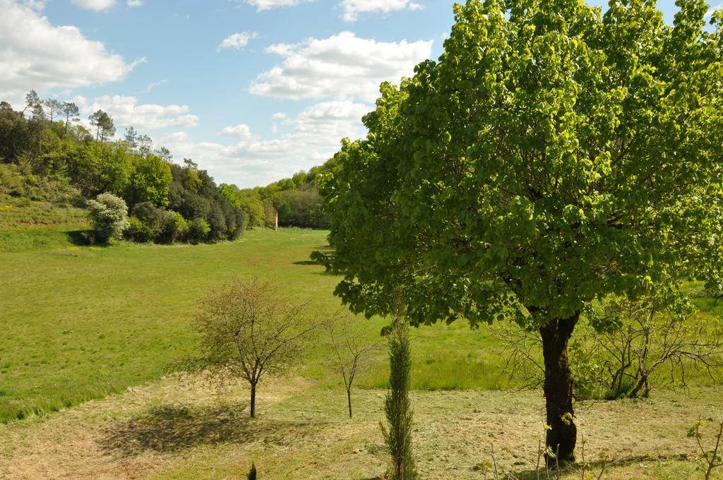 Gite Chez Le Gaulois カルサック・アイヤック エクステリア 写真